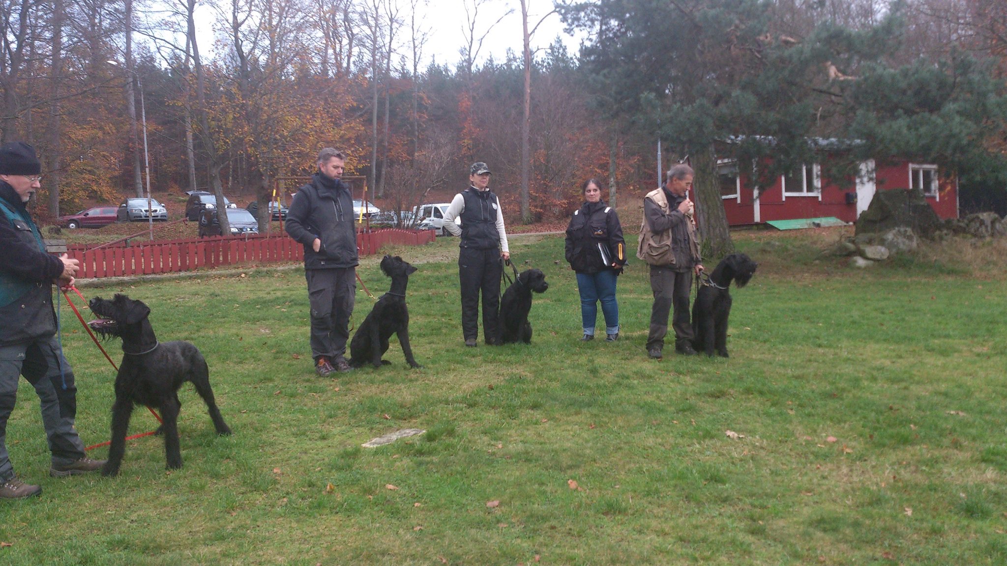 MHSolvesborg2014