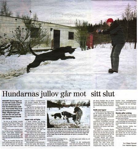 Hundpensionat