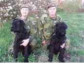tjanstehund1