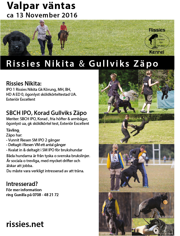 rissies annons nikita zapo